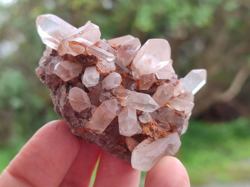 Natural Quartz Clusters x 24 From Madagascar - Toprock Gemstones and Minerals 