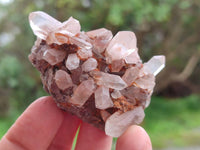 Natural Quartz Clusters x 24 From Madagascar