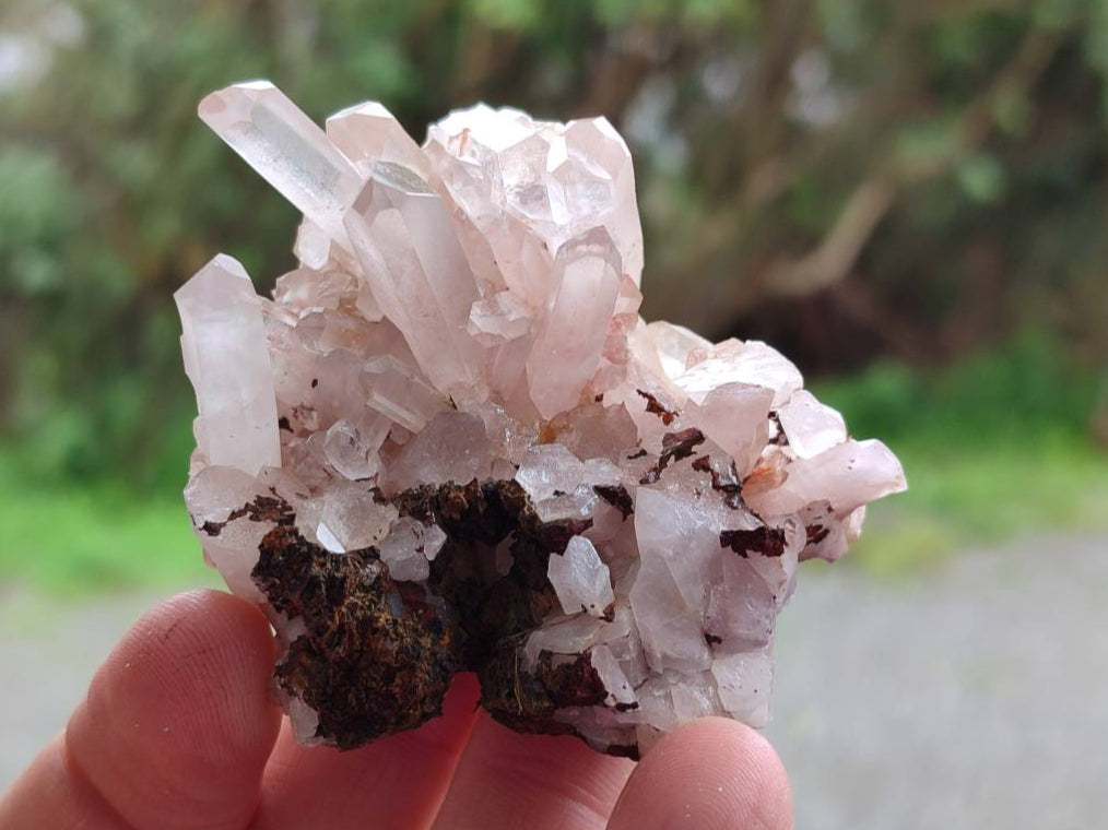 Natural Quartz Clusters x 24 From Madagascar - Toprock Gemstones and Minerals 