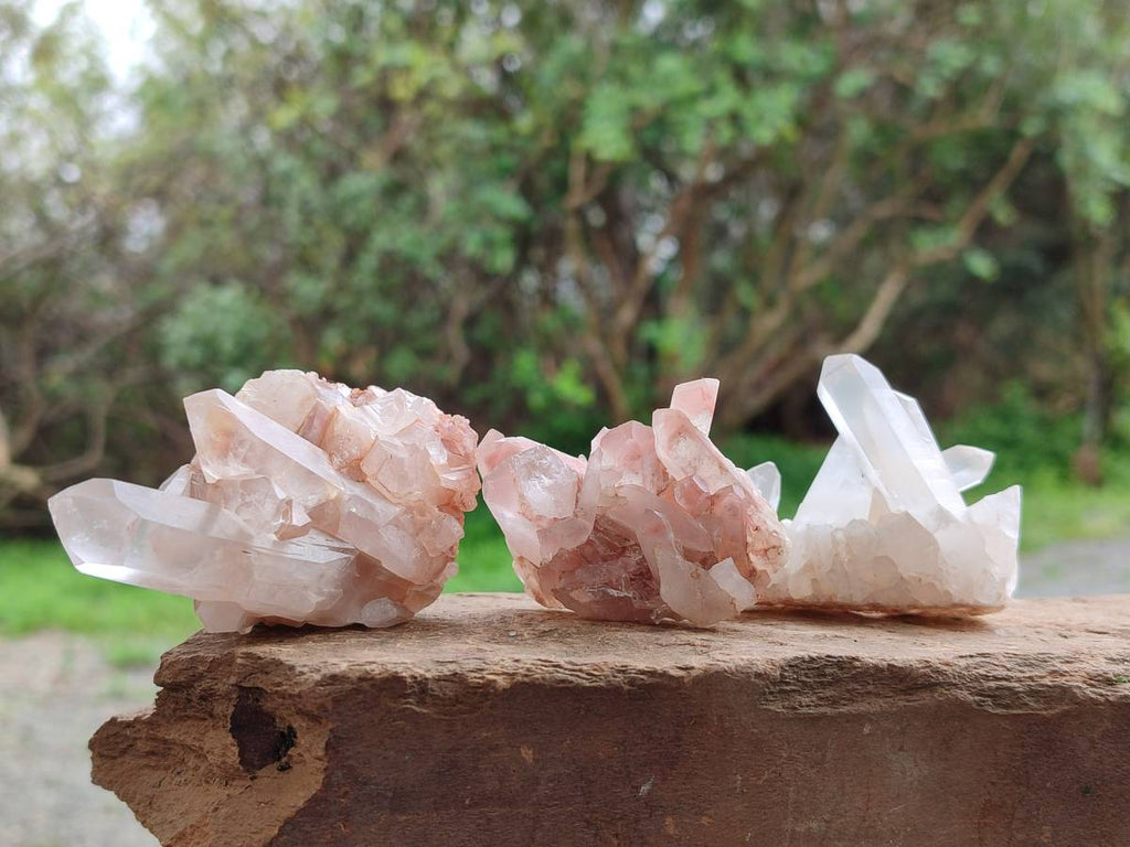 Natural Quartz Clusters x 24 From Madagascar - Toprock Gemstones and Minerals 