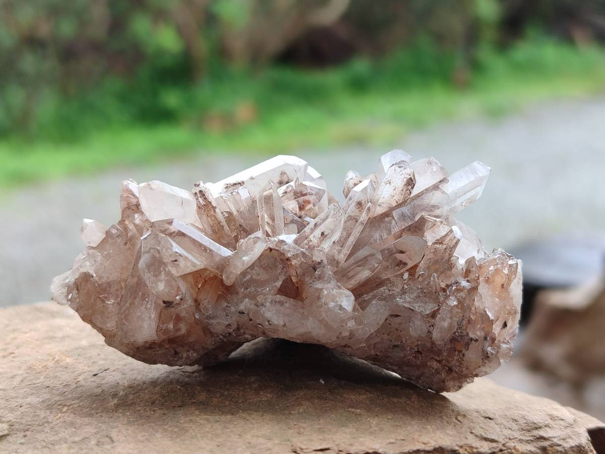 Natural Quartz Clusters x 24 From Madagascar - Toprock Gemstones and Minerals 