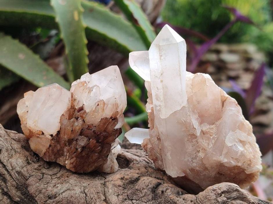 Natural Quartz Clusters x 24 From Madagascar - Toprock Gemstones and Minerals 