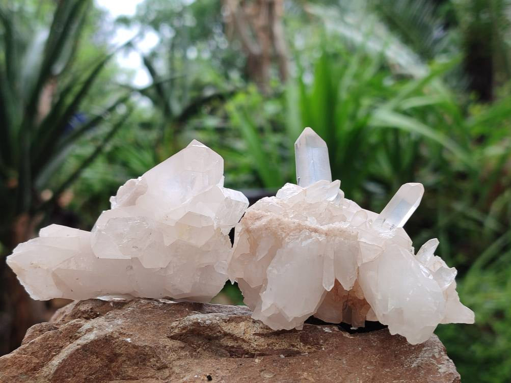 Natural Quartz Clusters x 24 From Madagascar - Toprock Gemstones and Minerals 