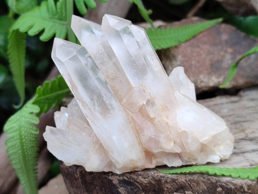 Natural Quartz Clusters x 24 From Madagascar - Toprock Gemstones and Minerals 