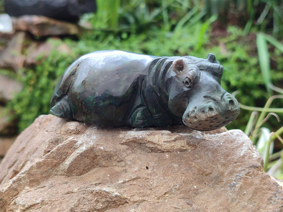 Hand Made Verdite Hippo Carvings x 3 From Nyanga, Zimbabwe - Toprock Gemstones and Minerals 