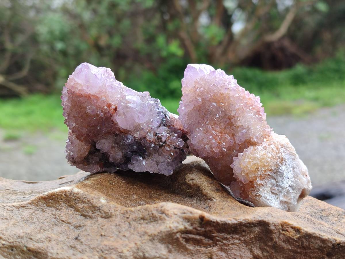 Natural Amethyst Spirit Quartz Clusters x 12 From Boekenhouthoek, South Africa - Toprock Gemstones and Minerals 