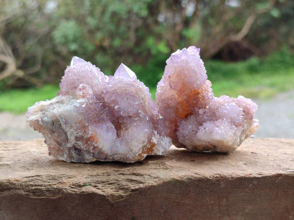 Natural Amethyst Spirit Quartz Clusters x 12 From Boekenhouthoek, South Africa - Toprock Gemstones and Minerals 