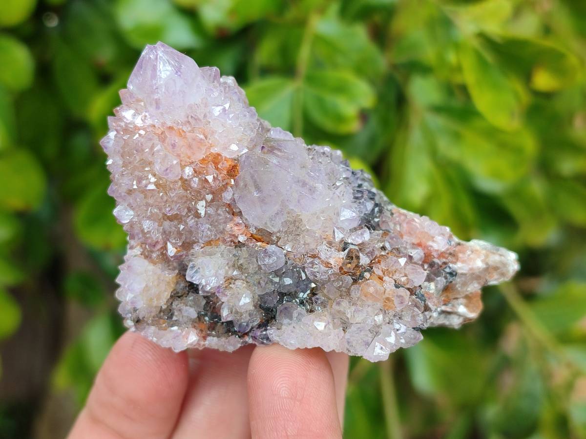 Natural Amethyst Spirit Quartz Clusters x 12 From Boekenhouthoek, South Africa - Toprock Gemstones and Minerals 