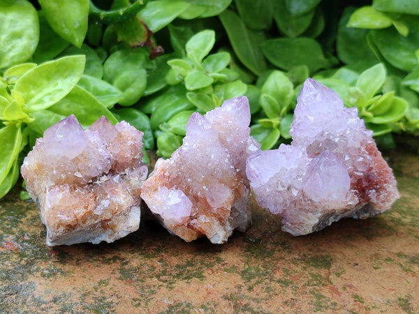 Natural Amethyst Spirit Quartz Clusters x 12 From Boekenhouthoek, South Africa