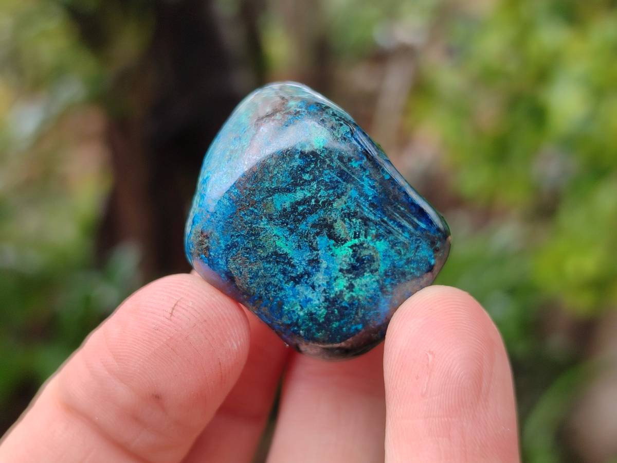 Polished Shattuckite Free Forms x 35 From Congo - Toprock Gemstones and Minerals 