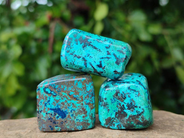 Polished Shattuckite Free Forms x 35 From Congo