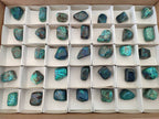 Polished Shattuckite Free Forms x 35 From Congo - Toprock Gemstones and Minerals 
