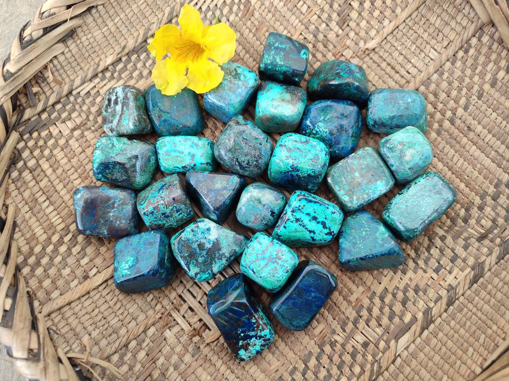 Polished Shattuckite Free Forms x 35 From Congo - Toprock Gemstones and Minerals 