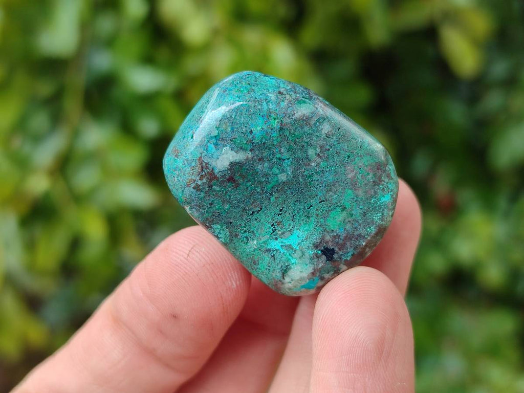 Polished Shattuckite Free Forms x 35 From Congo - Toprock Gemstones and Minerals 