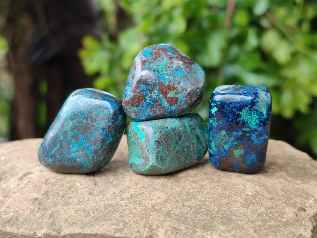 Polished Shattuckite Free Forms x 35 From Congo - Toprock Gemstones and Minerals 