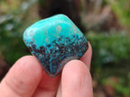 Polished Shattuckite Free Forms x 35 From Congo - Toprock Gemstones and Minerals 