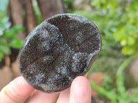 Polished Septerye Nodule Free Forms x 6 From Mahajanga, Madagascar