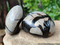 Polished Septerye Nodule Free Forms x 6 From Mahajanga, Madagascar