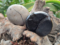 Polished Septerye Nodule Free Forms x 6 From Mahajanga, Madagascar