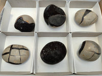 Polished Septerye Nodule Free Forms x 6 From Mahajanga, Madagascar