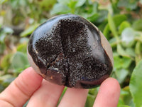 Polished Septerye Nodule Free Forms x 6 From Mahajanga, Madagascar