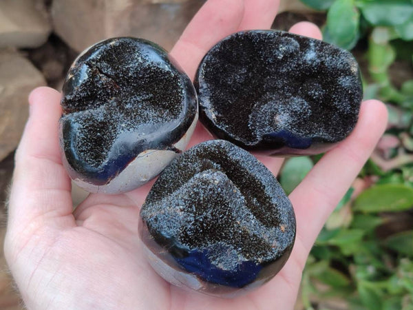 Polished Septerye Nodule Free Forms x 6 From Mahajanga, Madagascar