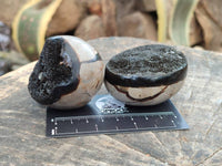 Polished Septerye Nodule Free Forms x 6 From Mahajanga, Madagascar