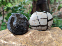 Polished Septerye Nodule Free Forms x 6 From Mahajanga, Madagascar