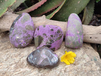 Polished Mix Stichtite Standing Free Forms and Free Forms x 4 From Barberton, South Africa