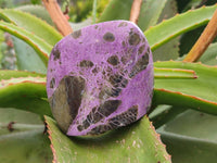 Polished Mix Stichtite Standing Free Forms and Free Forms x 4 From Barberton, South Africa