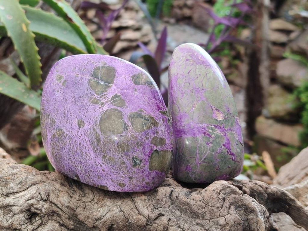 Polished Mix Stichtite Standing Free Forms and Free Forms x 4 From Barberton, South Africa - Toprock Gemstones and Minerals 