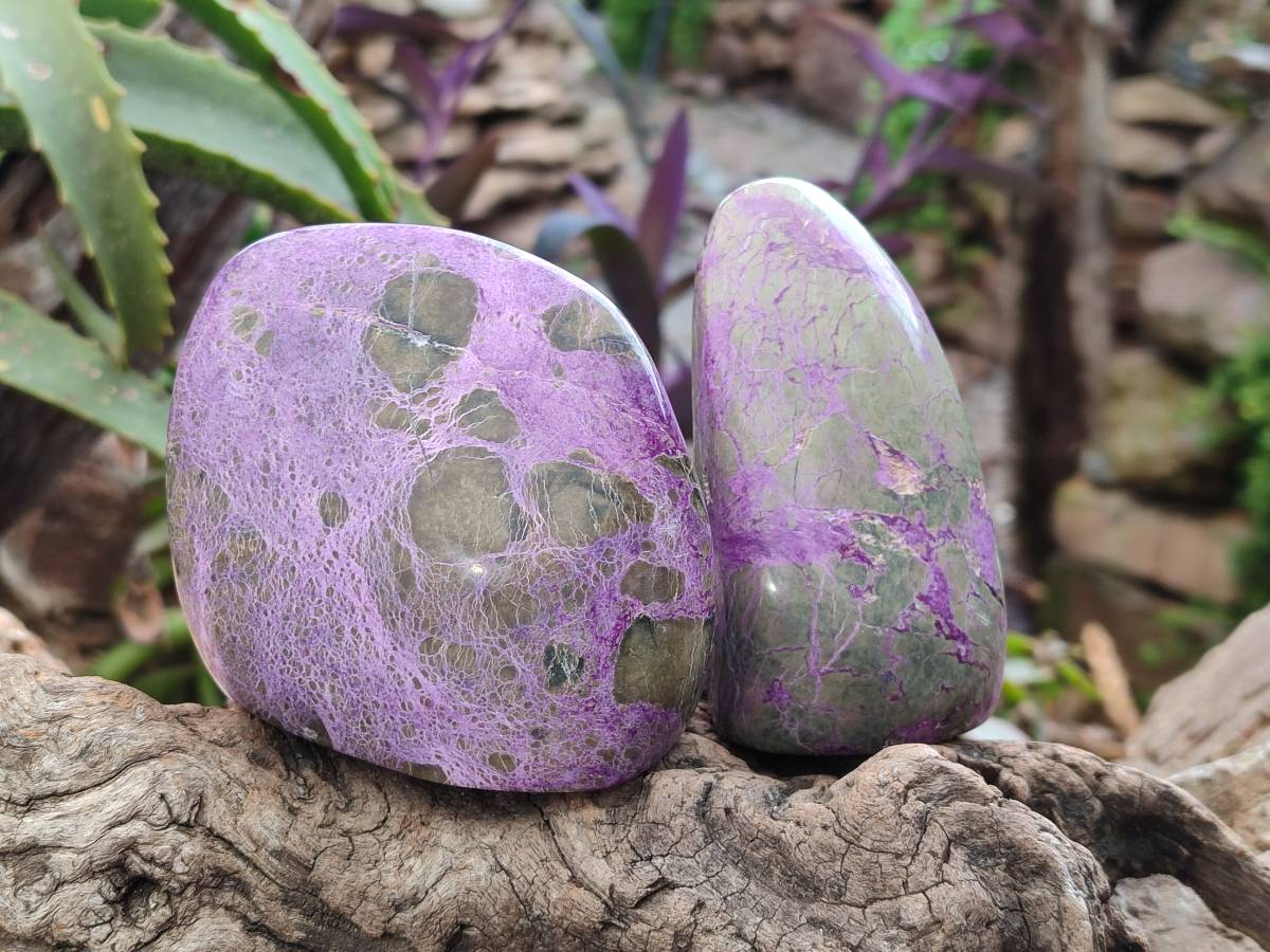 Polished Mix Stichtite Standing Free Forms and Free Forms x 4 From Barberton, South Africa - Toprock Gemstones and Minerals 
