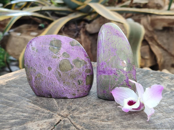 Polished Mix Stichtite Standing Free Forms and Free Forms x 4 From Barberton, South Africa