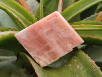 Natural Sunset Orange Calcite Specimens x 6 From Spitzkop, Namibia