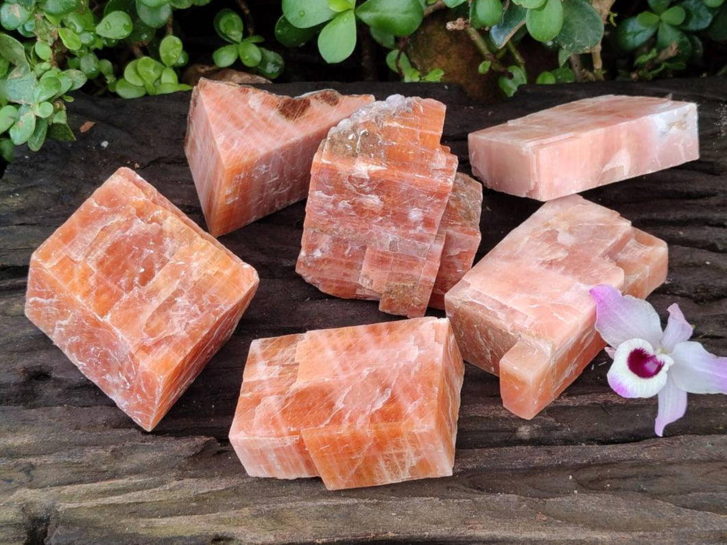 Natural Sunset Orange Calcite Specimens x 6 From Spitzkop, Namibia - Toprock Gemstones and Minerals 