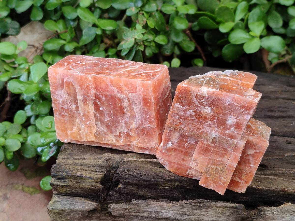 Natural Sunset Orange Calcite Specimens x 6 From Spitzkop, Namibia - Toprock Gemstones and Minerals 