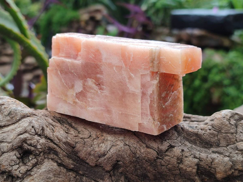 Natural Sunset Orange Calcite Specimens x 6 From Spitzkop, Namibia - Toprock Gemstones and Minerals 