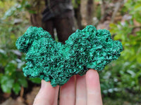 Natural Silky Malachite Specimens x 2 From Kasompe, Congo