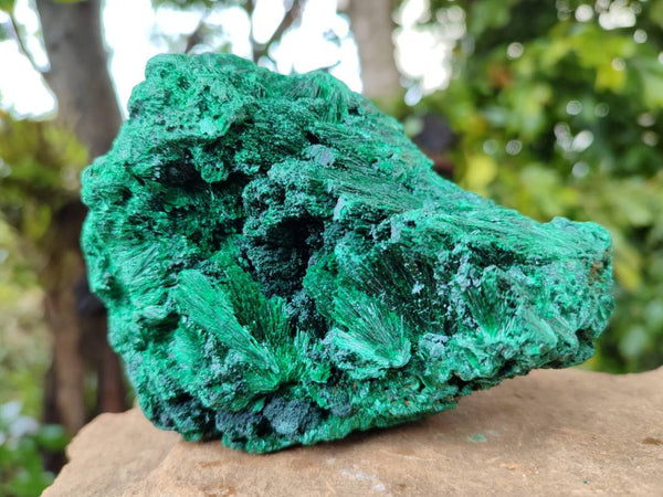 Natural Silky Malachite Specimens x 2 From Kasompe, Congo