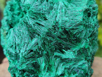 Natural Silky Malachite Specimens x 2 From Kasompe, Congo