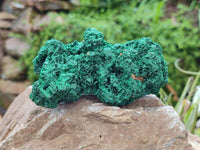 Natural Silky Malachite Specimens x 2 From Kasompe, Congo