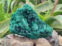 Natural Silky Malachite Specimens x 2 From Kasompe, Congo