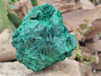 Natural Silky Malachite Specimens x 2 From Kasompe, Congo