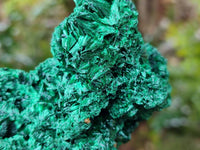 Natural Silky Malachite Specimens x 2 From Kasompe, Congo
