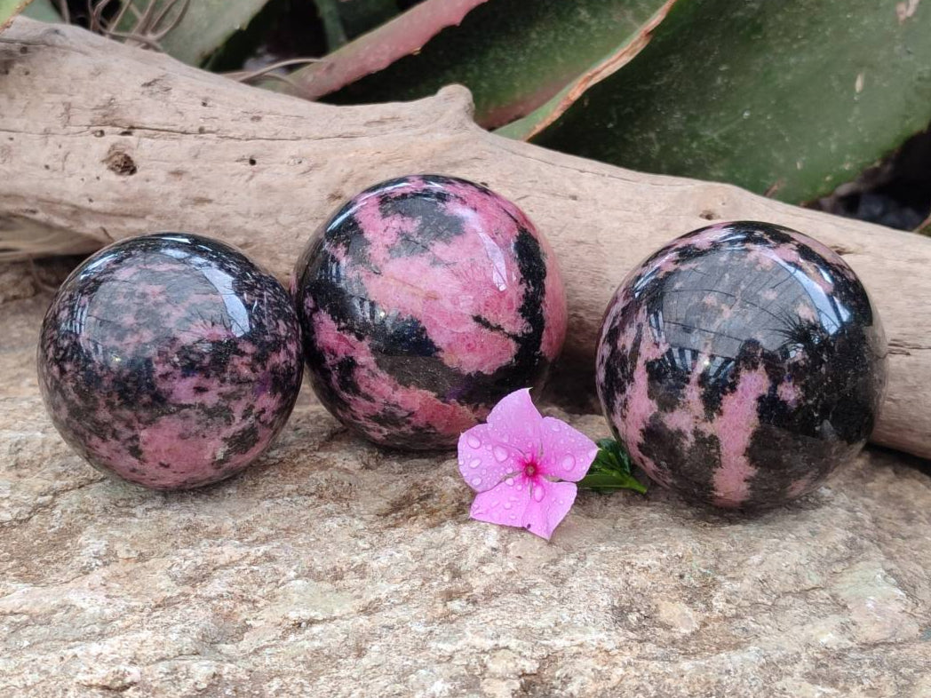Polished Rhodonite Spheres x 3 From Ambindavato, Madagascar - Toprock Gemstones and Minerals 