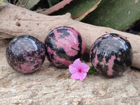 Polished Rhodonite Spheres x 3 From Ambindavato, Madagascar