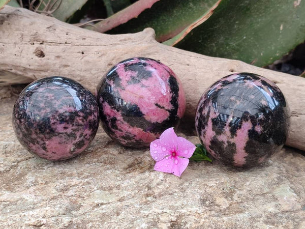 Polished Rhodonite Spheres x 3 From Ambindavato, Madagascar