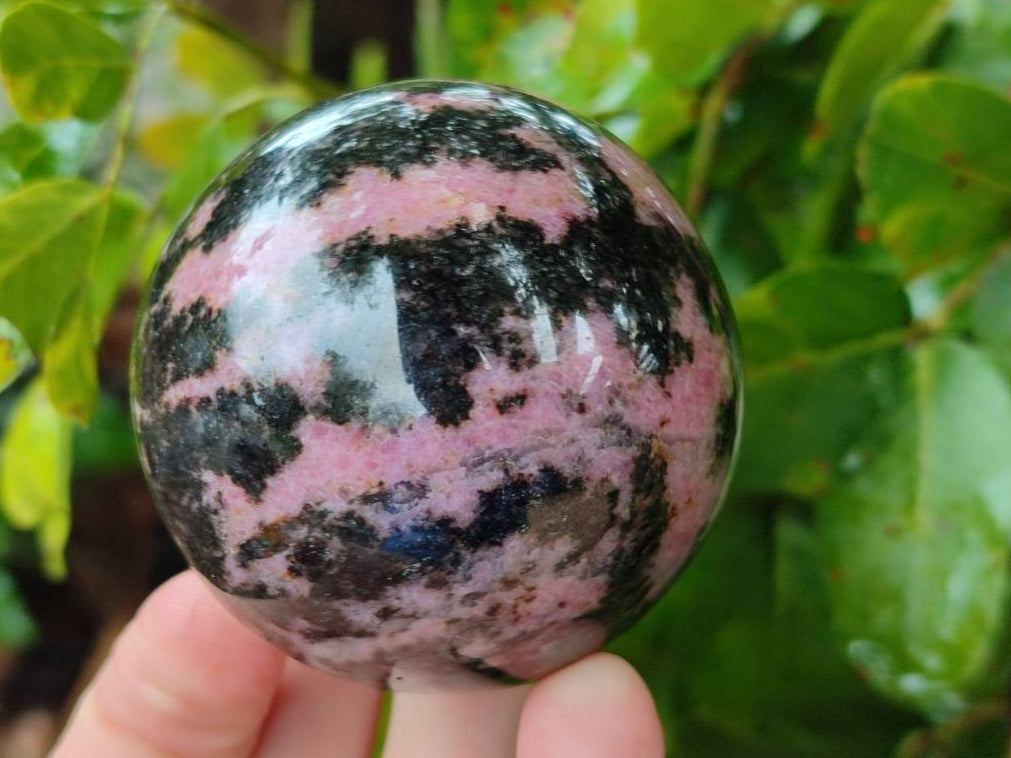 Polished Rhodonite Spheres x 3 From Ambindavato, Madagascar - Toprock Gemstones and Minerals 