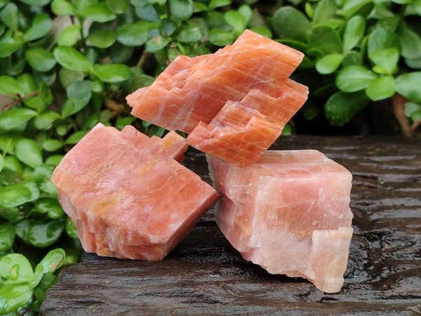 Natural Sunset Orange Calcite Specimens x 24 From Spitzkop, Namibia