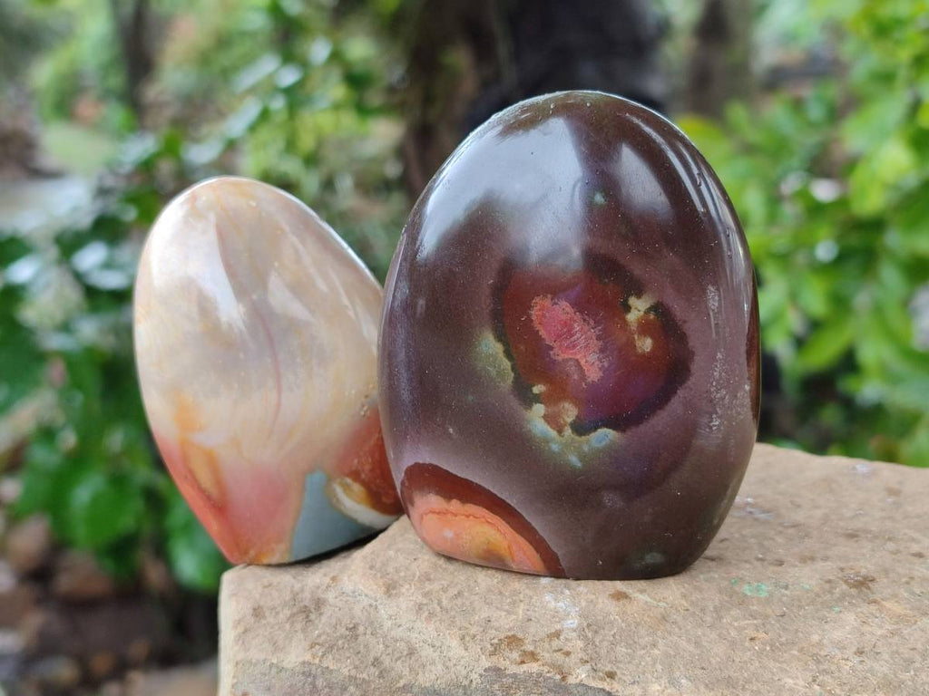 Polished Polychrome Jasper Standing Free Forms x 6 From NW Coast, Madagascar - Toprock Gemstones and Minerals 